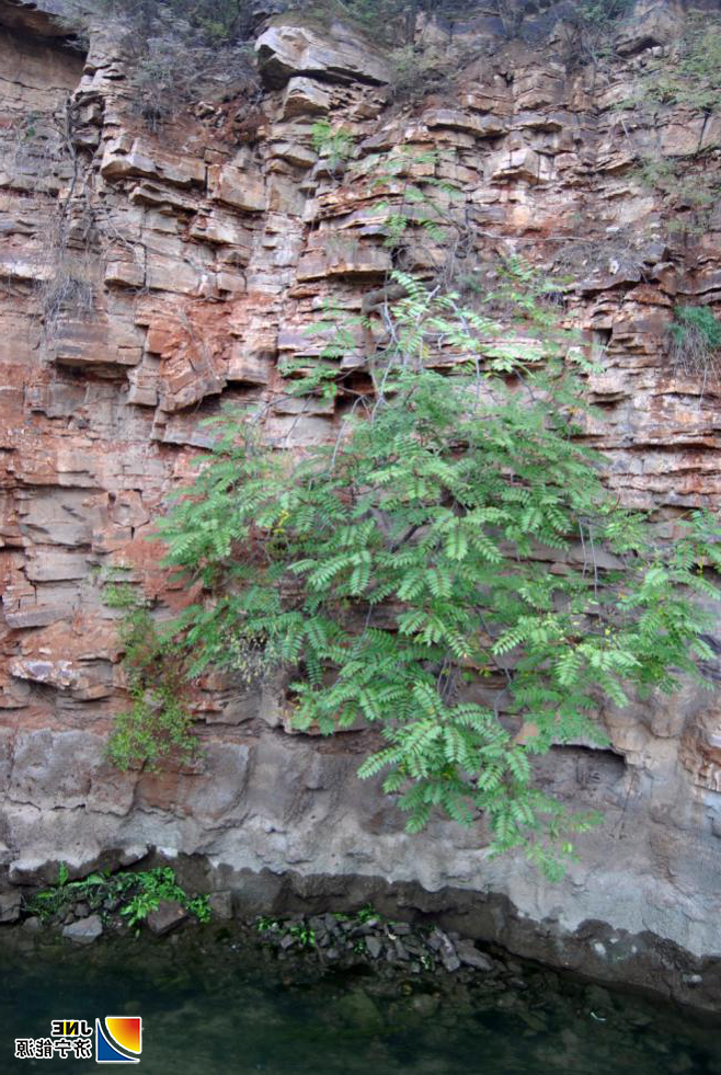 1571797424584931.png 图片3.png