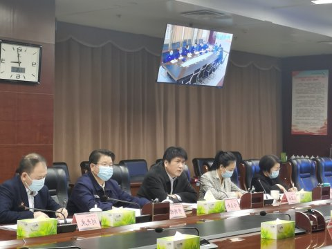 集团公司召开合同风险排查汇报视频会议