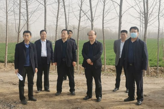 马金平到阳城技改项目现场调研指导工作