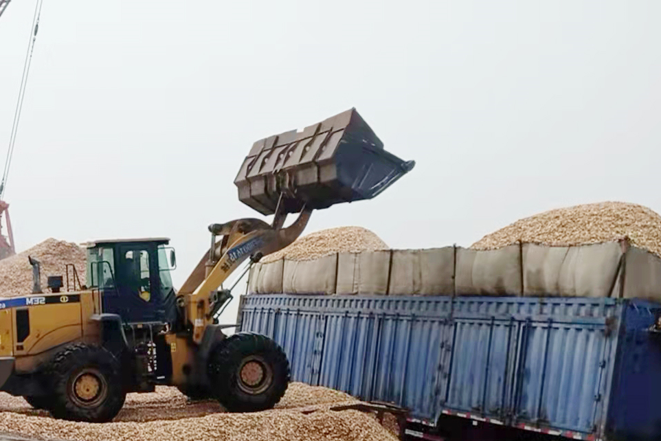 1648536816493920.jpg 太平港-太平港新木片抓斗成功试运行(张冬宁) (1).jpg