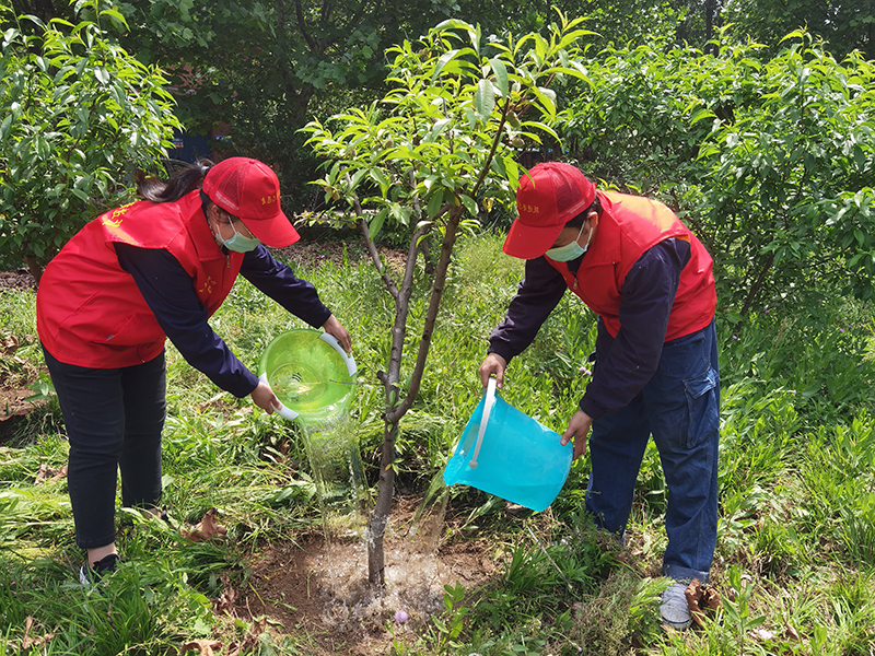 1651647424375317.jpg 港航跃进港:跃进港开展“五四”青年节自愿服务活动3.jpg