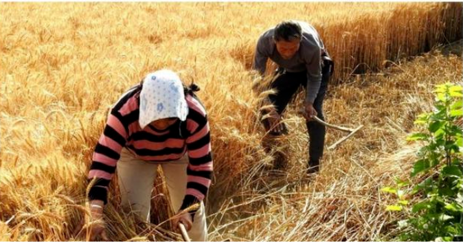 1654144068100242.png 微信截图_20220602122645.png