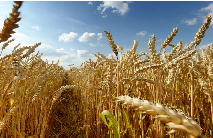 1654668248614493.png 微信截图_20220608140106.png