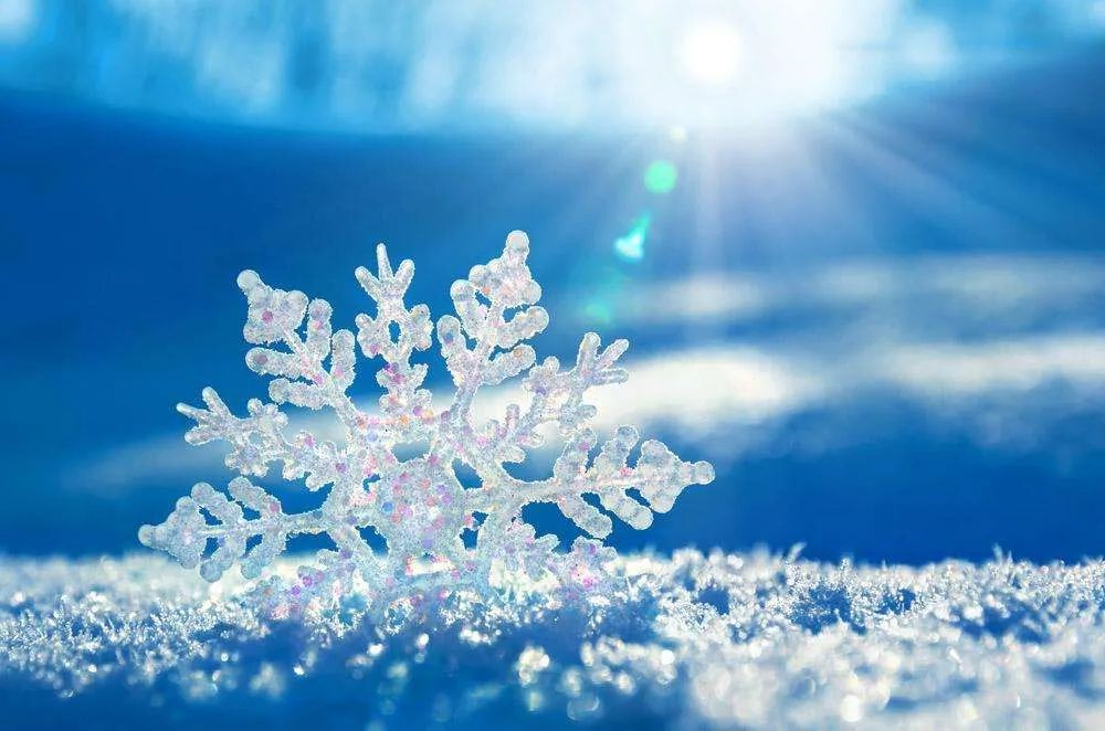 1662771522243458.jpg 微信图片_20220910085830.jpg