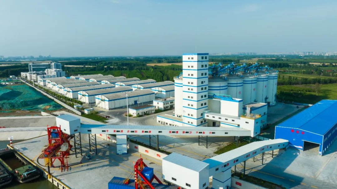 1717549493547063.jpg 00.jpg