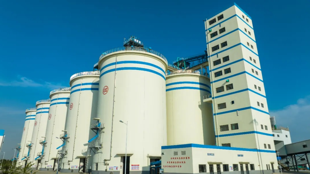 1717549532902462.jpg 01.jpg