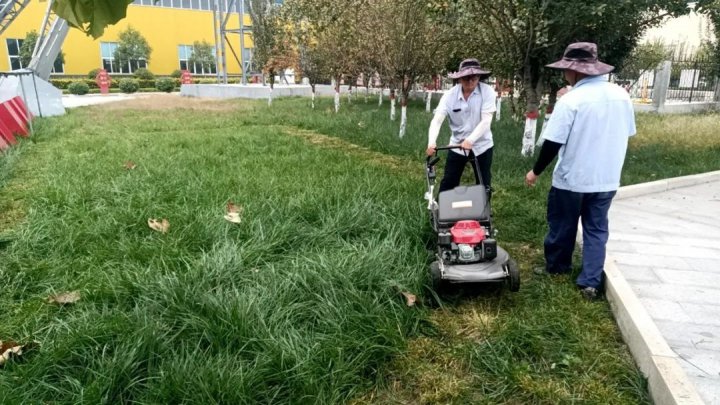 文明实践月丨山东盛源扮靓园区“颜值”，擦亮文明“底色”