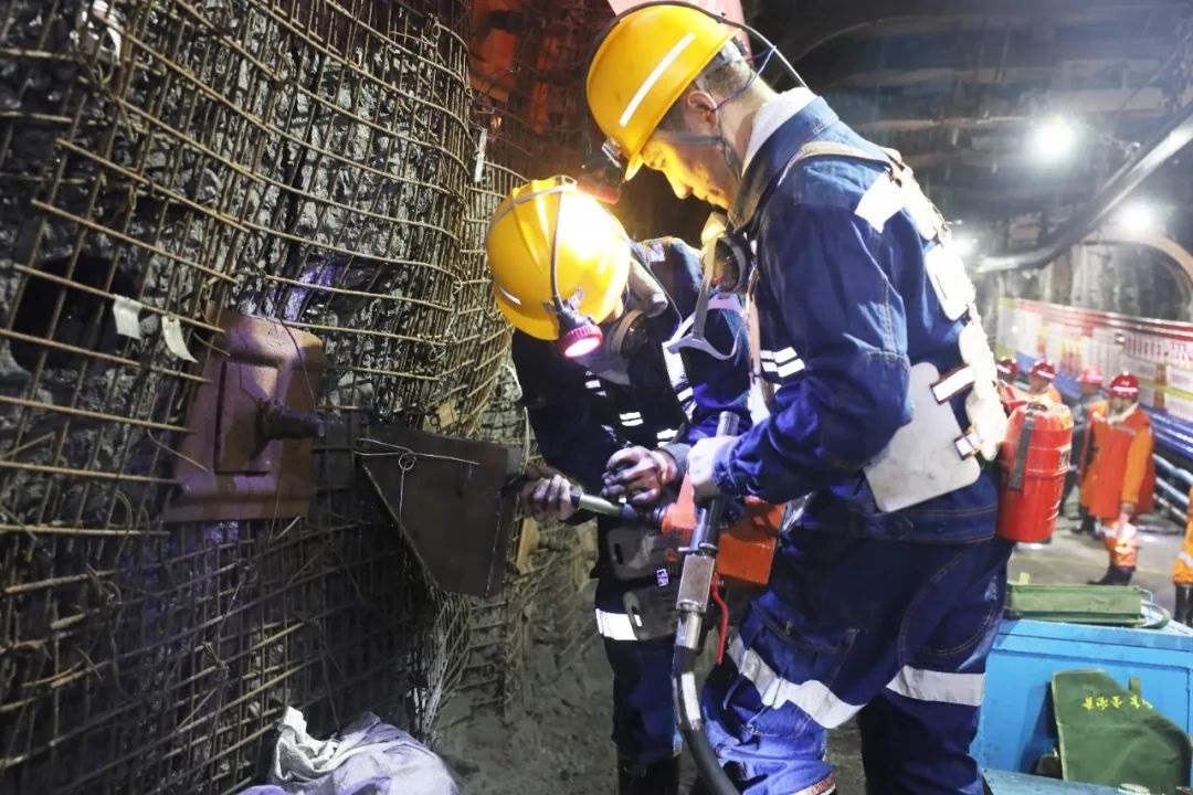 1729929092105694.jpg 0003.jpg