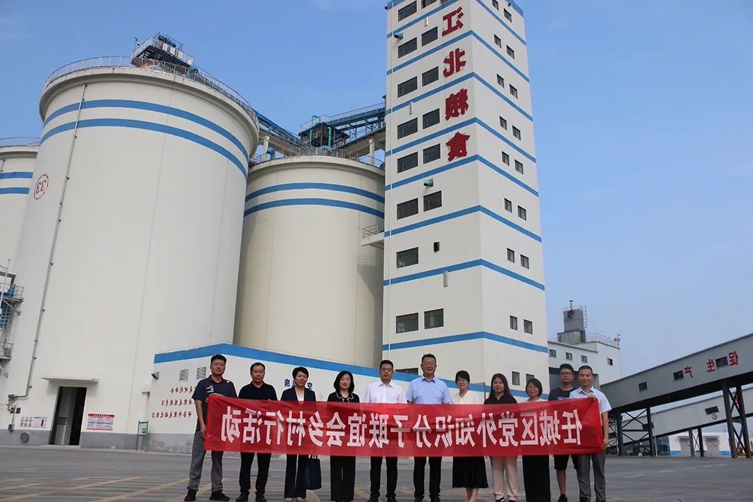 1740294945123522.jpg 0011.jpg