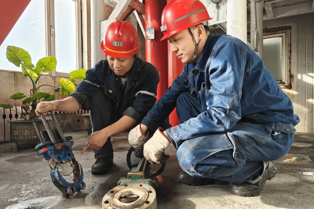 1766632868933230.jpg 2.jpg